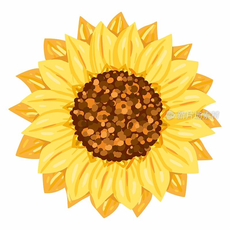 Sunflower flower vector colorful illustration